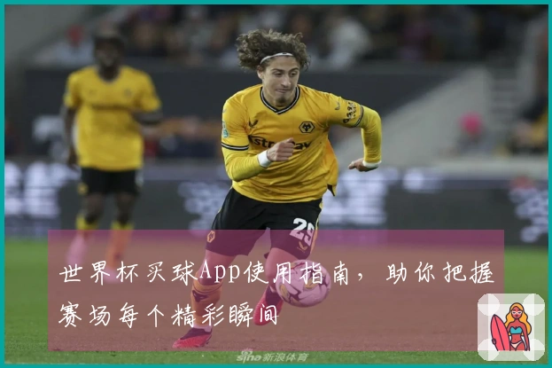 世界杯买球App使用指南，助你把握赛场每个精彩瞬间