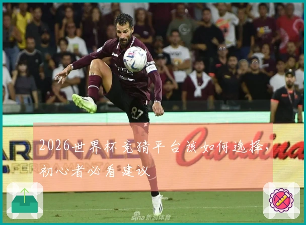2026世界杯竞猜平台该如何选择，初心者必看建议