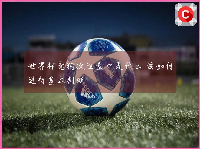 世界杯竞猜投注盘口是什么 该如何进行基本判断