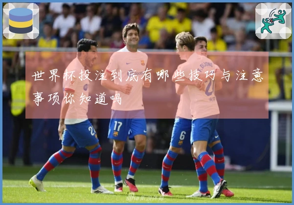 世界杯投注到底有哪些技巧与注意事项你知道吗