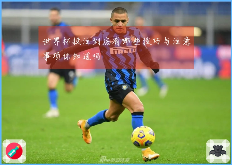 世界杯投注到底有哪些技巧与注意事项你知道吗