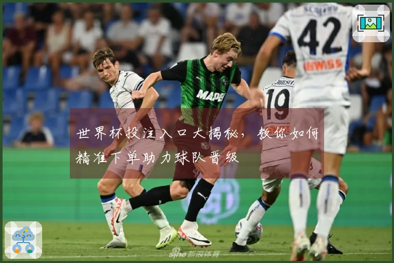 世界杯投注入口大揭秘，教你如何精准下单助力球队晋级