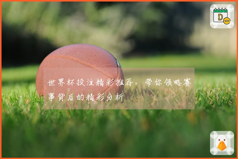 世界杯投注精彩推荐，带你领略赛事背后的精彩分析