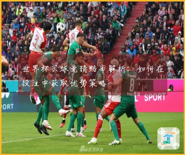 世界杯买球竞猜赔率解析：如何在投注中获取优势策略