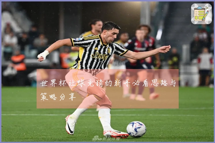 世界杯让球竞猜的新手必看思路与策略分享
