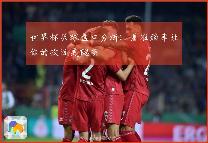 世界杯买球盘口分析：看准赔率让你的投注更聪明